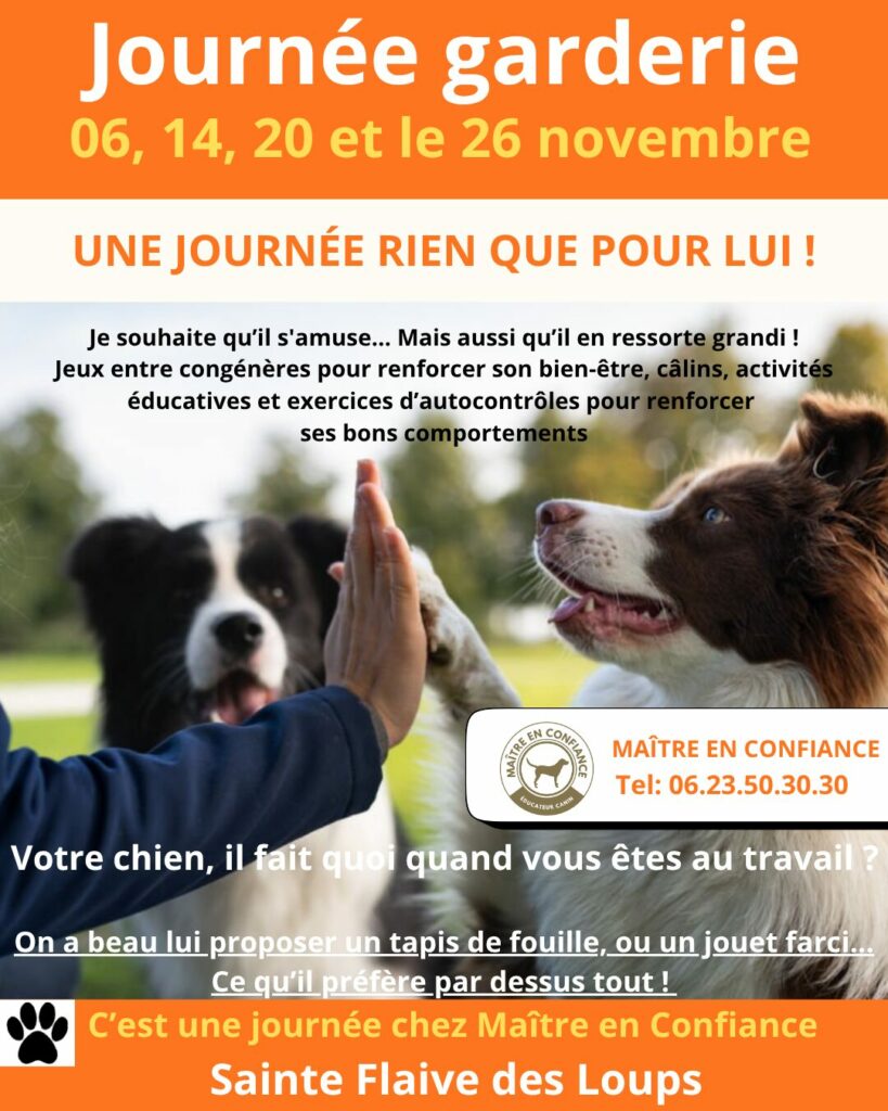 Faire éduquer mon chien en Vendée par un éducateur canin professionnel prés de chez moi