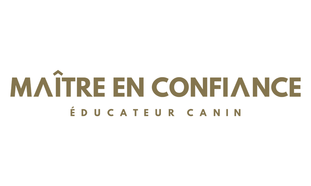 À PROPOS ACCUEIL CONTACT La philosophie de MAÎTRE EN CONFIANCE LES COURS D’ÉDUCATION L’ÉDUCATION POSITIVE PLAN DU SITE