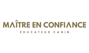 À PROPOS ACCUEIL CONTACT La philosophie de MAÎTRE EN CONFIANCE LES COURS D’ÉDUCATION L’ÉDUCATION POSITIVE PLAN DU SITE