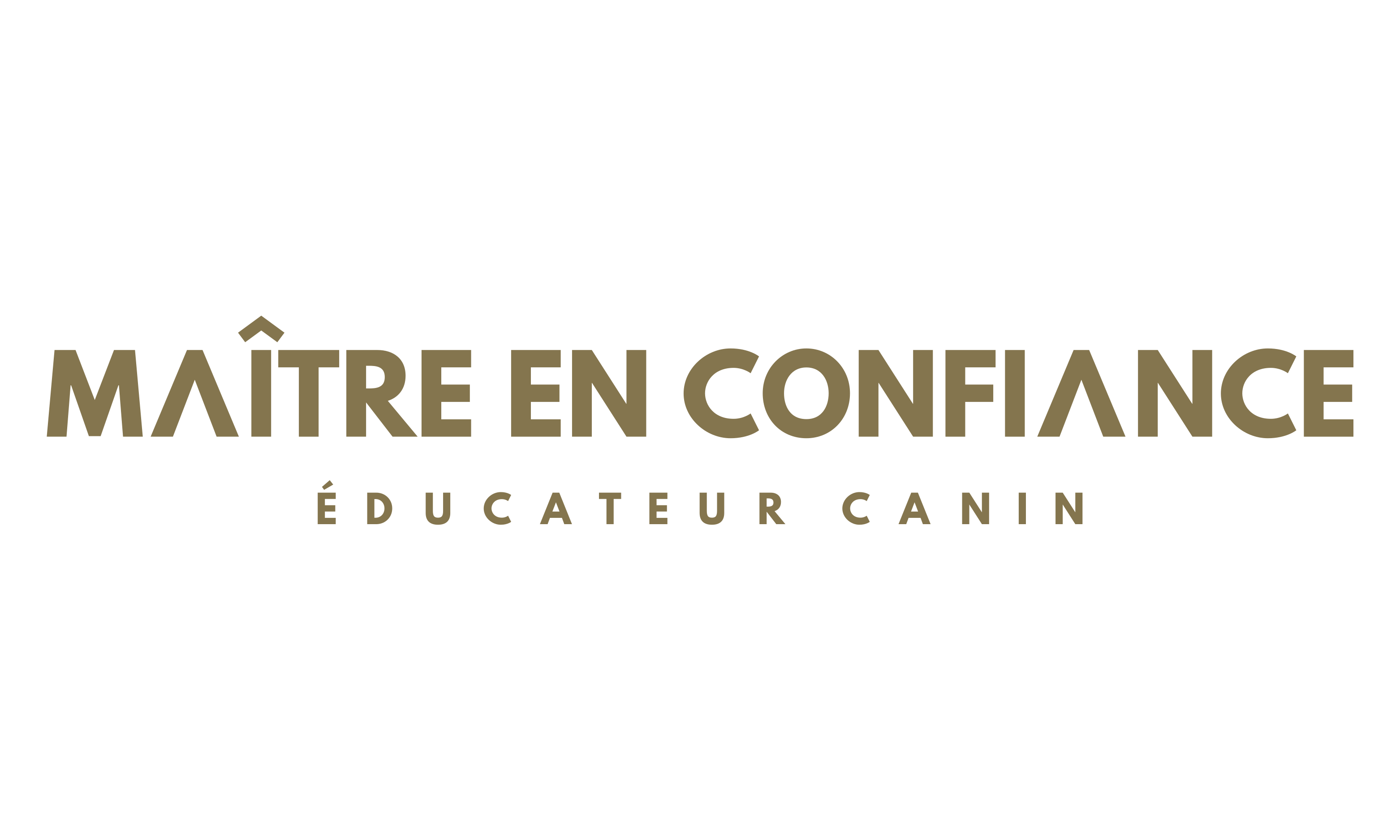 À PROPOS ACCUEIL CONTACT La philosophie de MAÎTRE EN CONFIANCE LES COURS D’ÉDUCATION L’ÉDUCATION POSITIVE PLAN DU SITE