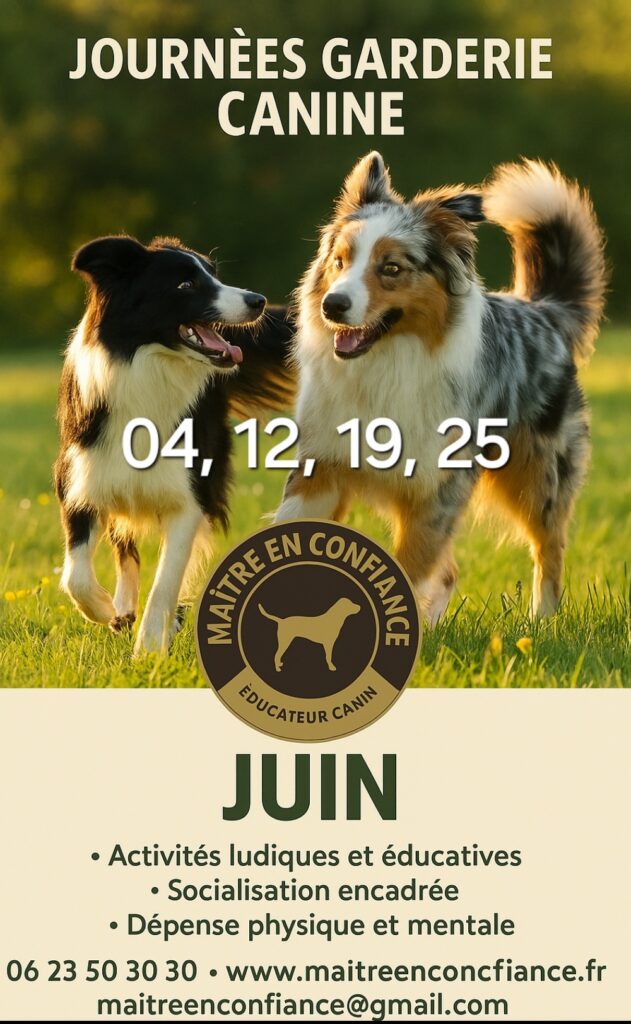 pension canine familiale en Vendée, Basé à Sainte Flaive des Loups