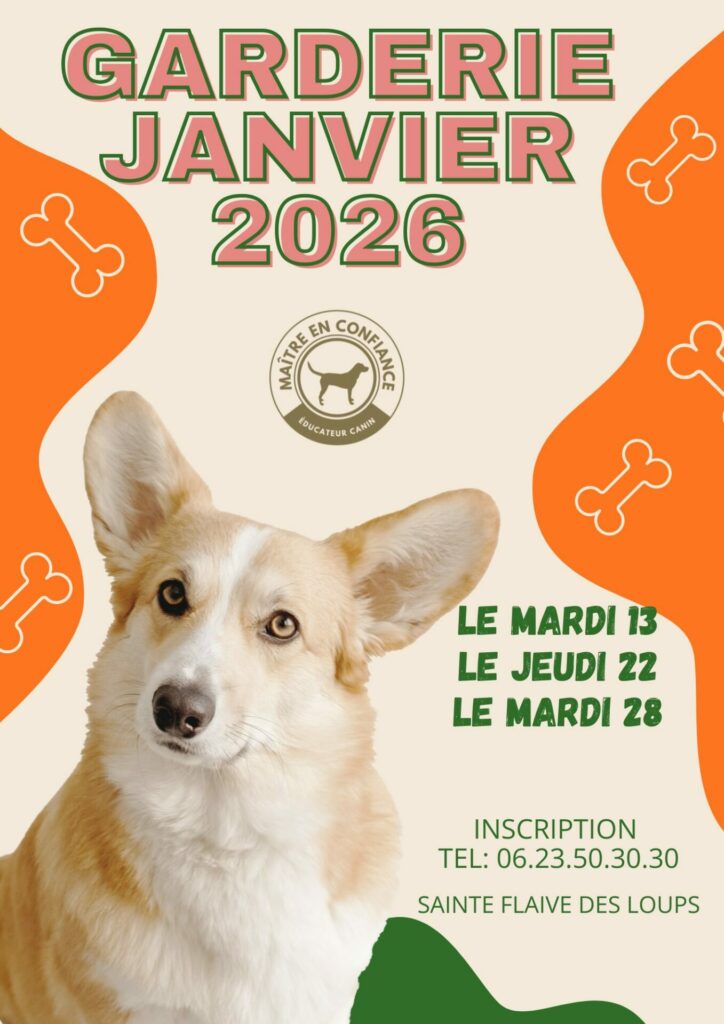 Garderie de janvier en Vendée